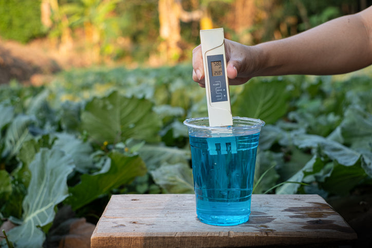 Defining Water Quality: Moving Beyond TDS Readings in a 3-Stage Water Filtration System