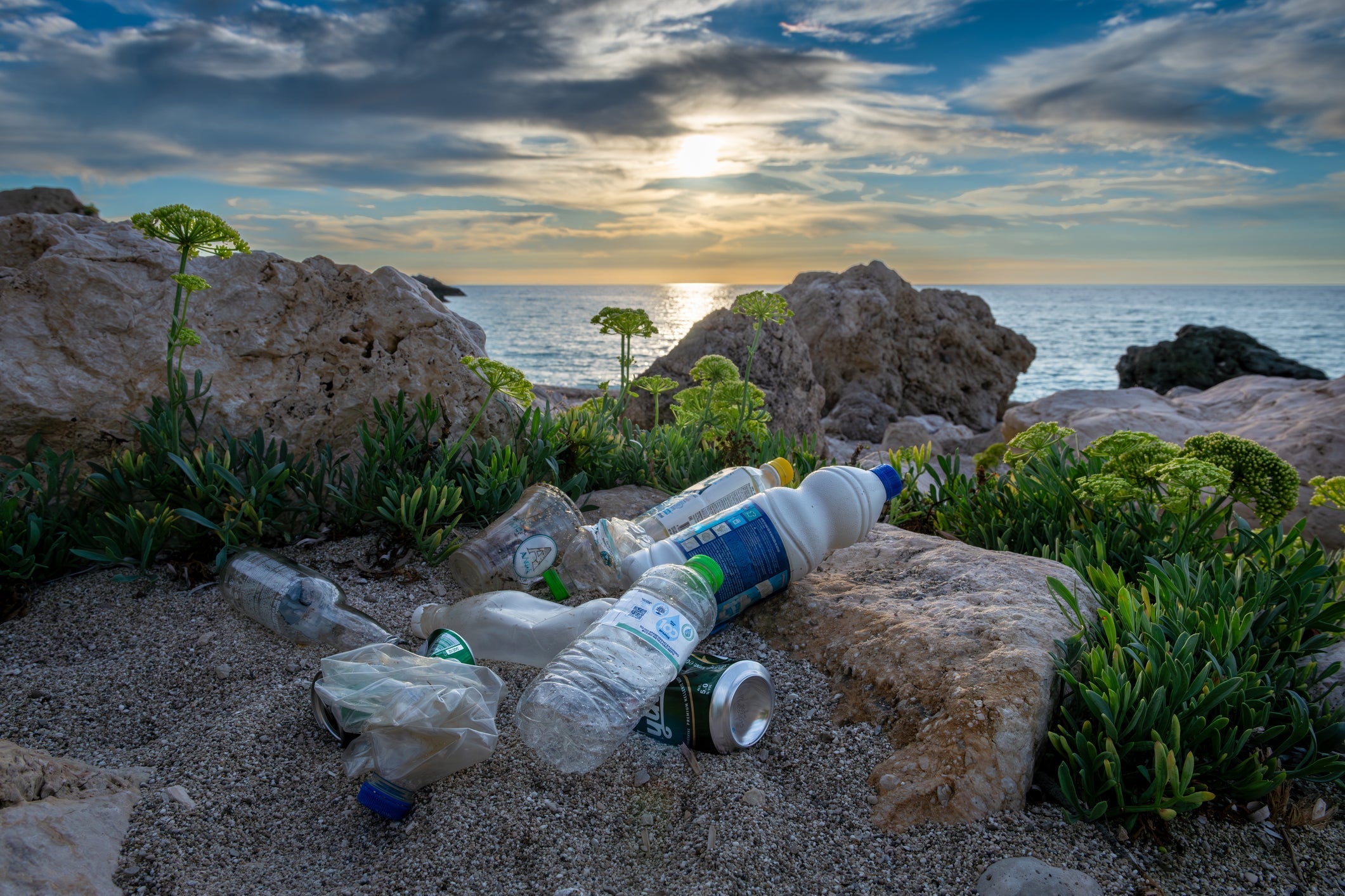 How UVC Purification Reduces Carbon Footprint