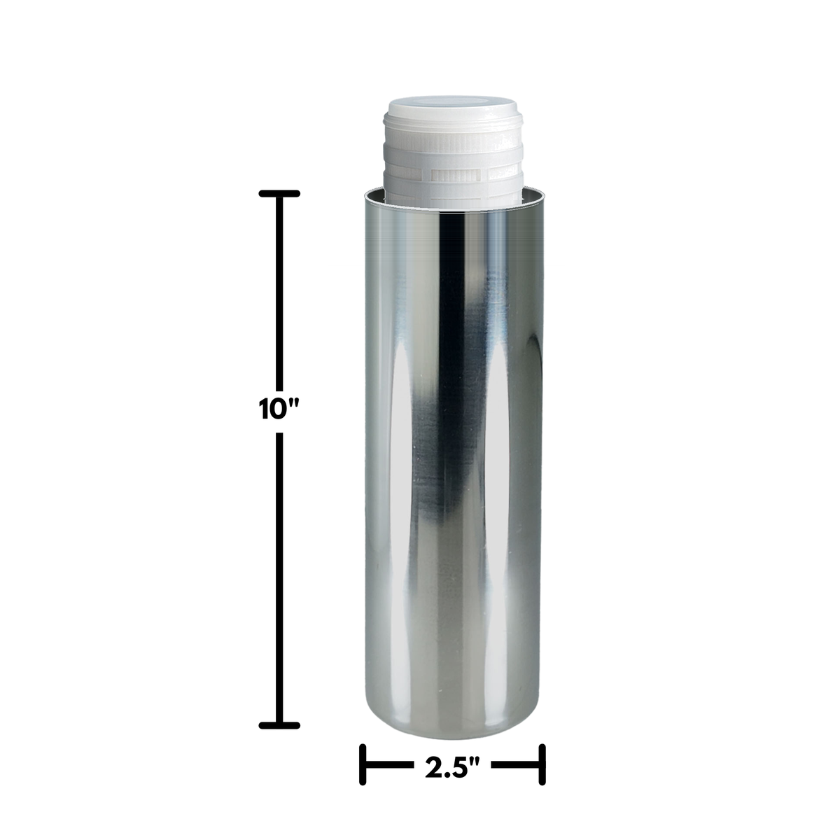 Stainless Steel 10-inch Canister