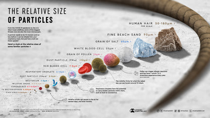 Relative Size of Particle